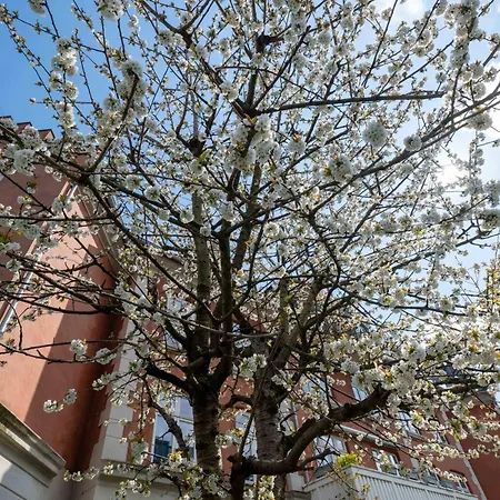 Appartamento Cozy & Bright In Peaceful Area Copenaghen